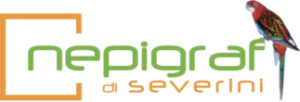 cropped-Logo_Nepigraf.png